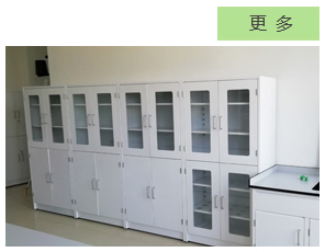 南京药品柜,南京试剂柜,南京实验室药品柜,焦点南京实验室家具网